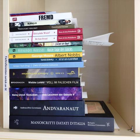 foto einiger bücher in einem regalfach; zu besseren lesbarkeit der titel auf den buchrücken wurde das foto um 90 grad nach rechts gedreht