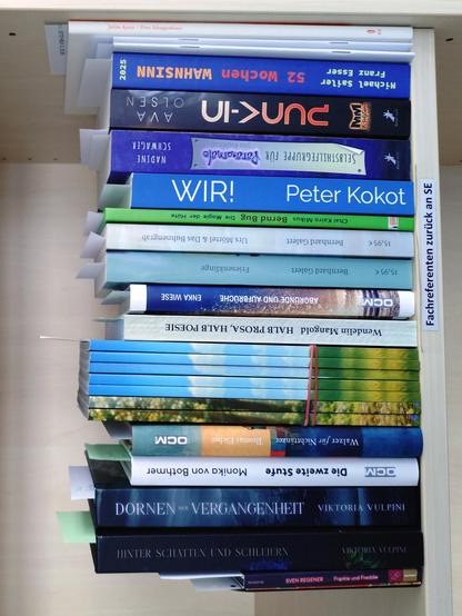 foto einiger bücher in einem regalfach; zu besseren lesbarkeit der titel auf den buchrücken wurde das foto um 90 grad nach links gedreht